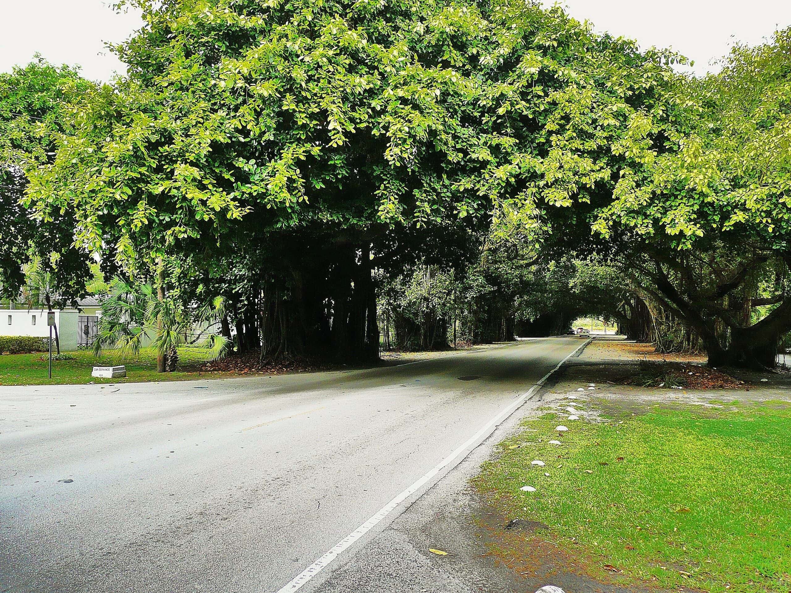Palmetto Bay car accident lawyer